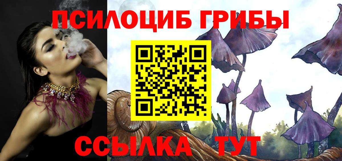 Псилоцибиновые грибы мицелий  Вход с VPN  Сегежа  Галлюциногенные грибы Psilocybe 